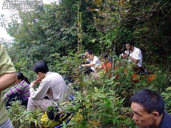 仙女山夢幻谷徒步指南