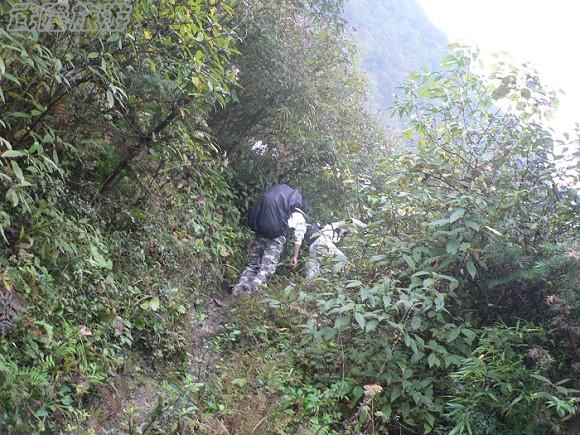 仙女山夢幻谷徒步指南