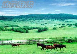 重慶武隆有哪些旅游景點(diǎn)?