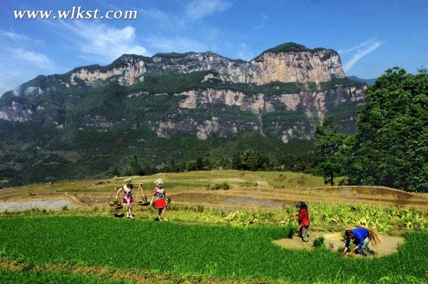 美女CEO探秘武隆第六節：品羊角古老文化與美食珍品