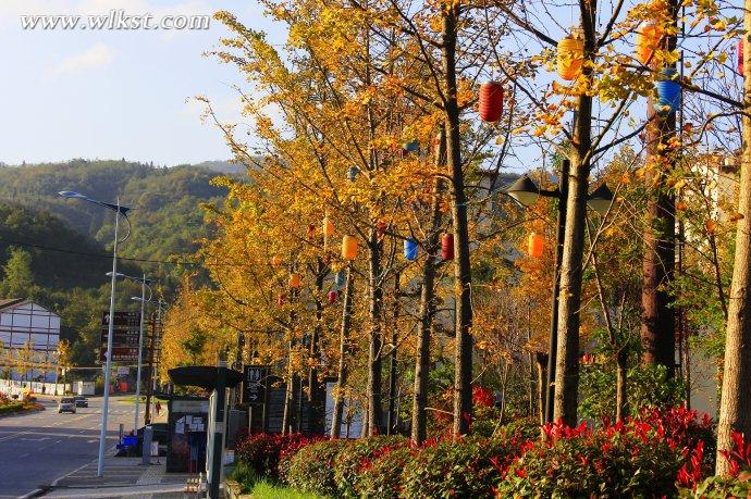  秋天的童話&mdash;&mdash;風過武隆仙女山小鎮 