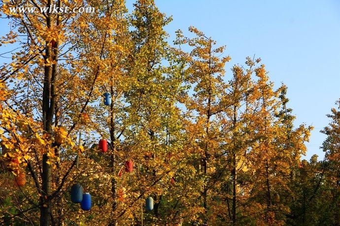  秋天的童話&mdash;&mdash;風過武隆仙女山小鎮 