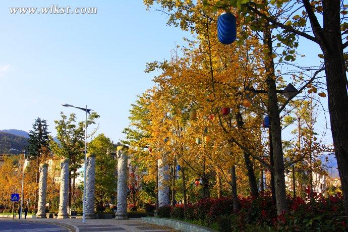  秋天的童話&mdash;&mdash;風過武隆仙女山小鎮 