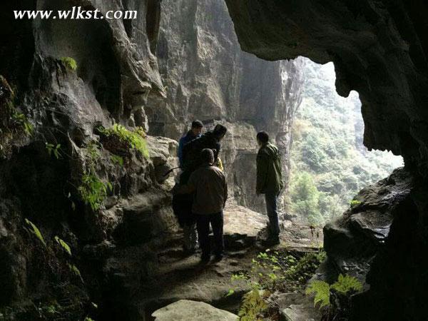 金鷹卡通衛視《童趣大調查》深入武隆 探尋黑葉猴蹤跡