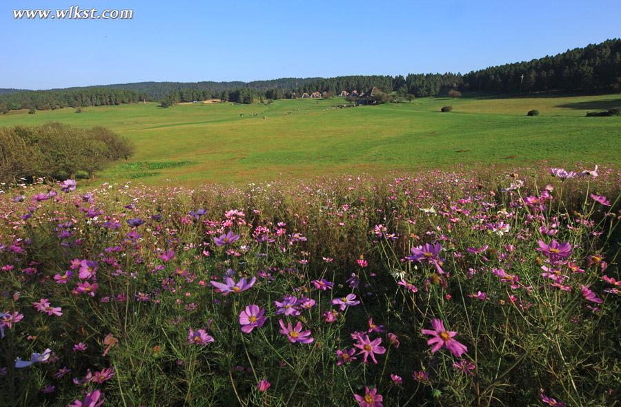 2015年3月21日、22日重慶哪些景點(diǎn)免門(mén)票？