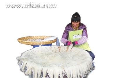 將紅苕粉分小捆晾干。 本報特約通訊員曾光全/攝