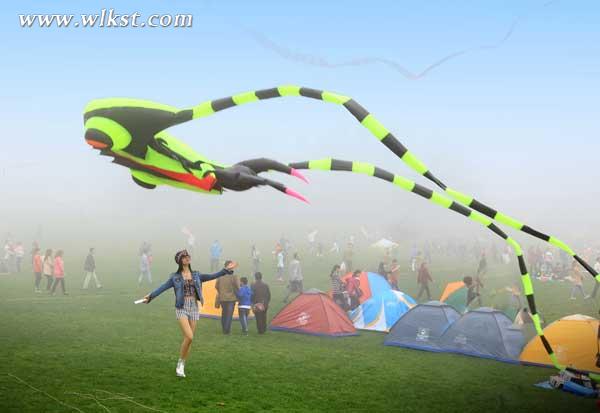 2015仙女山風箏季開幕式特技風箏表演