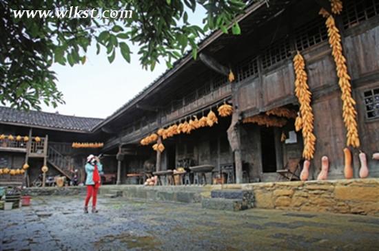 游客來田家寨采風