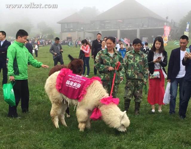 全國(guó)首趟大學(xué)生專列赴仙女山上演“讓西瓜飛”