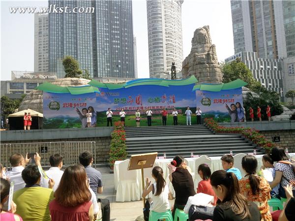 武隆首屆鄉村旅游展會在觀音橋舉行 李瓊/攝